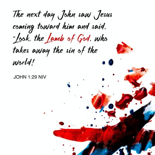 Bible Quotes